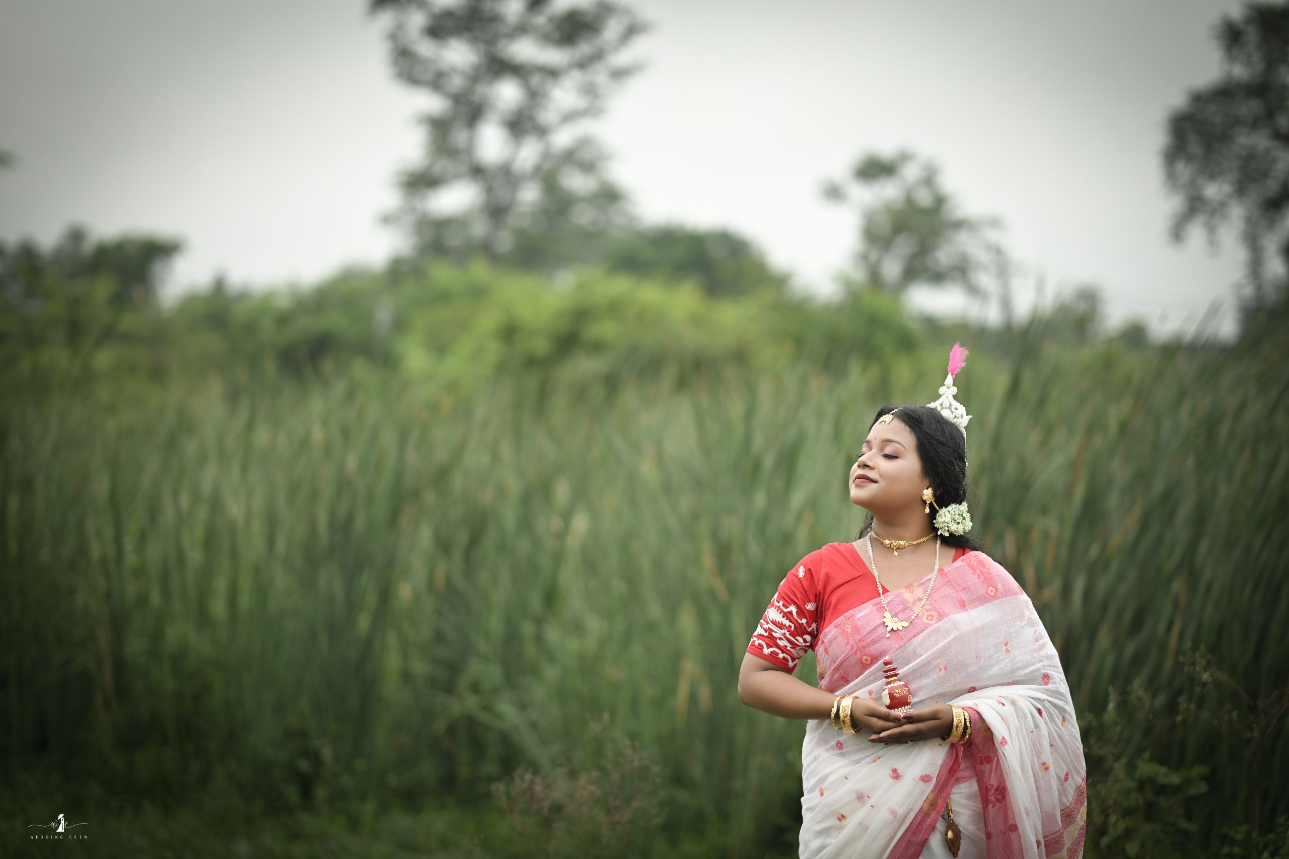 Briddhi